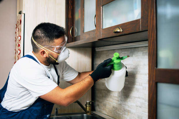 Pest Control Cost in North Kansas City, MO