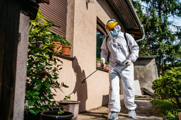 Best Residential Pest Control  in North Kansas City, MO