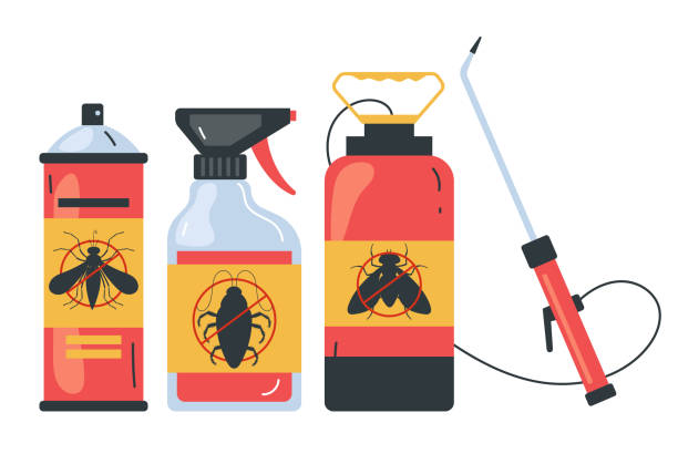 Trusted North Kansas City, MO Pest Control Experts