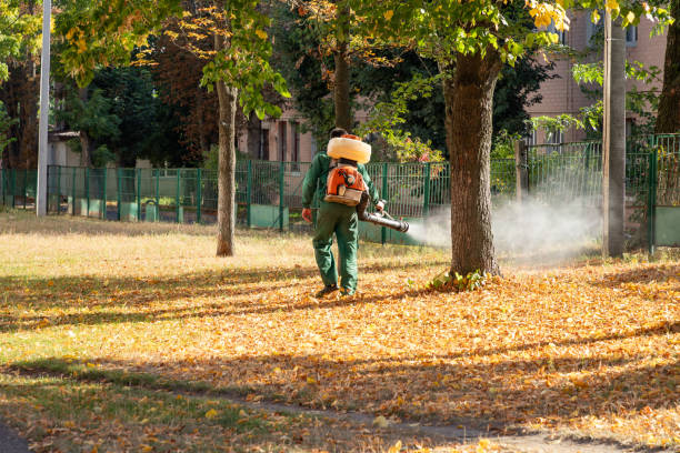 Best Affordable Pest Control Services  in North Kansas City, MO