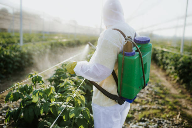 Pest Prevention Services in North Kansas City, MO